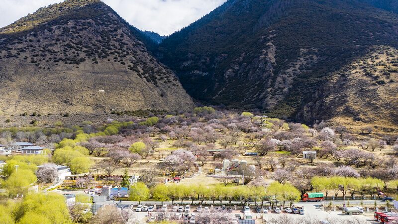 President Xi Jinping Encourages Xizang Villagers to Foster Ethnic Unity Xi Jinping urges villagers in Xizang to uphold ethnic solidarity