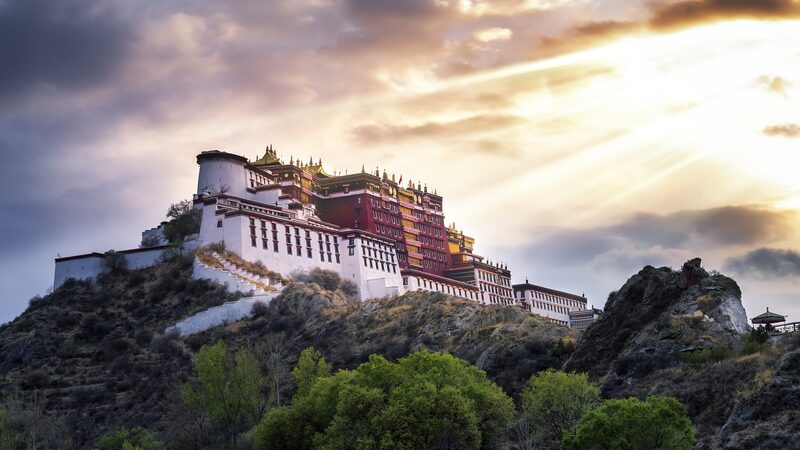 Breaking Barriers: The Inspiring Journeys of Tibetan Women Xizang: Her story, her power video poster