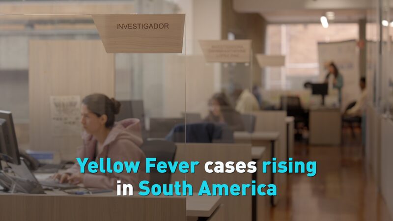 # - My News! Yellow Fever Cases Rising in South America Video Poster