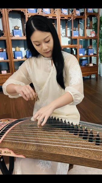 # - My News! a Glimpse of Guzheng Artistry at the Birds Nest Art Festival Video Poster