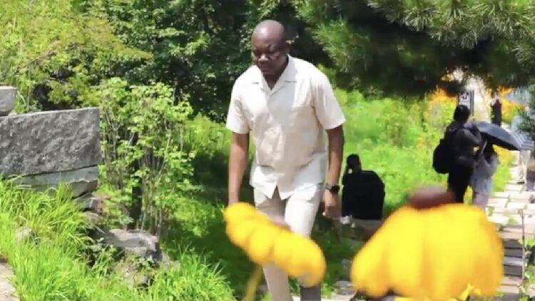 A vision for humanity: Emphasizing harmony with nature