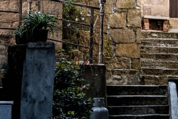 China’s Notre-Dame: Shitang’s 600-Year-Old Stone Houses An Ancient Dialogue between Stone and Sea