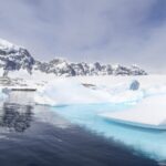 Antarcticas Shrinking Sea Ice Threatens Wildlife Climate Stability 