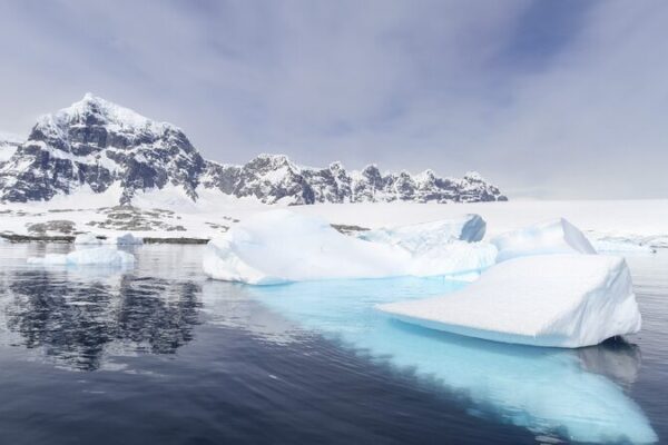 Antarctica's shrinking sea ice threatens wildlife, climate stability