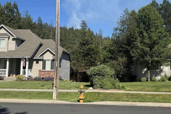 Ambush on Idaho Firefighters Leaves Two Dead Amid Ongoing Standoff At least two killed in ambush on firefighters in Idaho, U.S.