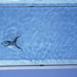 Britain Faces Third More Extensive Heat Wave 