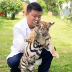 # - My News! Can You Understand What a Tiger is Trying to Say Video Poster