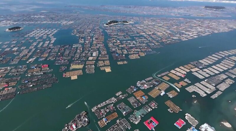 # - My News! China Launches Emergency Response to Typhoon Danas