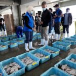 China to Conditionally Resume Aquatic Product Imports from Japan 