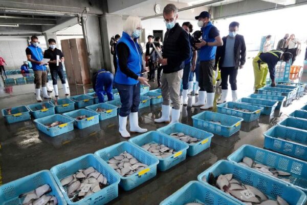 China to conditionally resume aquatic product imports from Japan