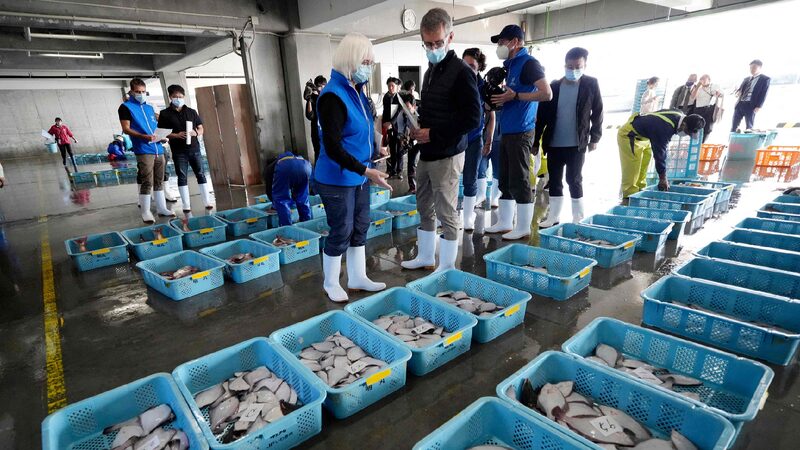# - My News! China to Conditionally Resume Aquatic Product Imports from Japan