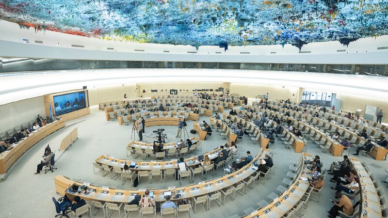 # - My News! China Vows to Promote Protect All Human Rights with All Parties