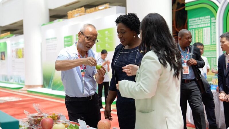 Smart Farming Blooms in China’s ‘Spring City’ China's 'Spring City' meets smart farming