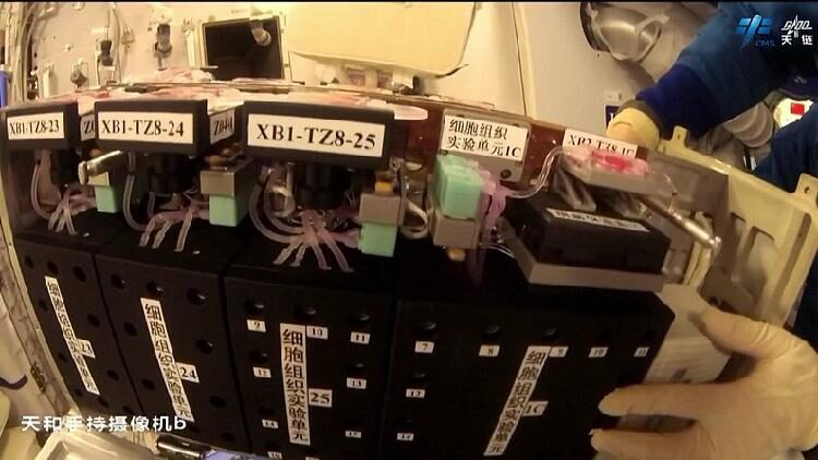 # - My News! Chinas Tianzhou 8 Cargo Spaceship Re enters Atmosphere