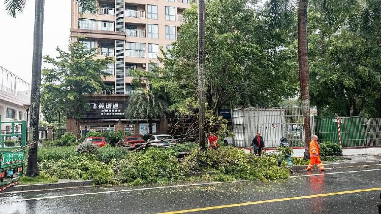 Chinas Coastal Regions Brace for Typhoon Wipha 