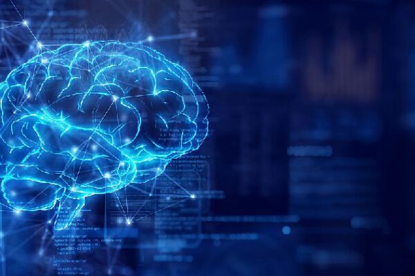 # - My News! Chinese led Team Unveils Breakthrough in Brain Mapping Research