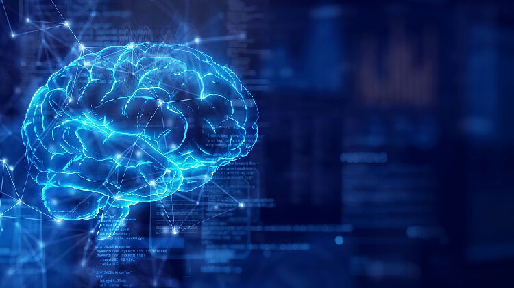 # - My News! Chinese led Team Unveils Breakthrough in Brain Mapping Research