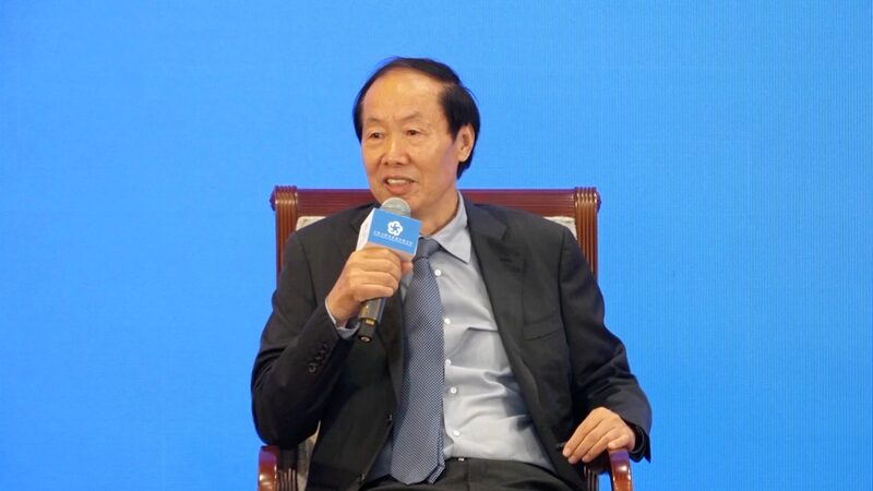 Chinese Expert Intl Cooperation Key to Cultural Heritage Protection Video Poster 