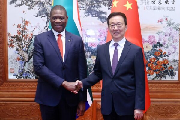 Chinese Vice President Meets South Africas Deputy President 