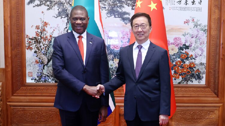 Chinese Vice President Meets South Africas Deputy President 