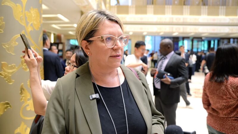 Croatian Delegate Lauds Chinas Global Civilization Initiative Video Poster 