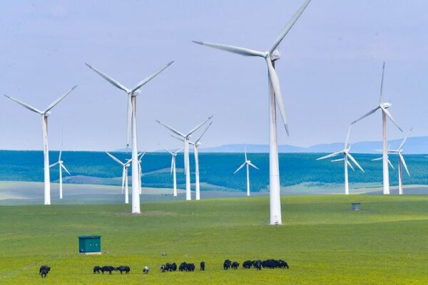 Environmental Protection Shines in 75 Years of China-Denmark Relations Environmental protection, a highlight of Sino-Danish cooperation