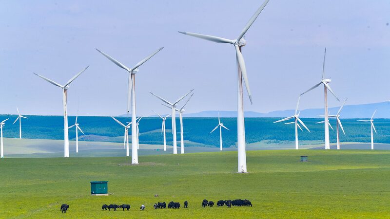 # - My News! Environmental Protection a Highlight of Sino danish Cooperation