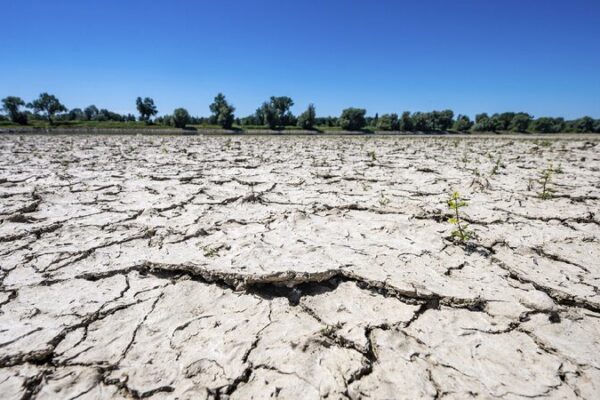 Expert New Drought Era Signals Global Systemic Risk 