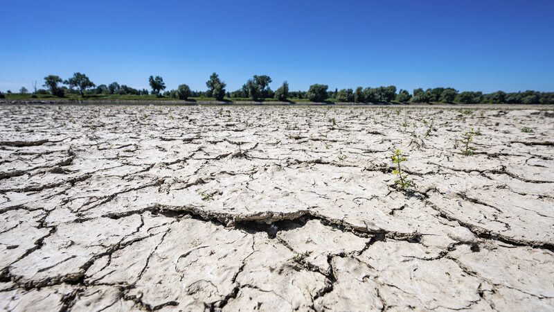 # - My News! Expert New Drought Era Signals Global Systemic Risk