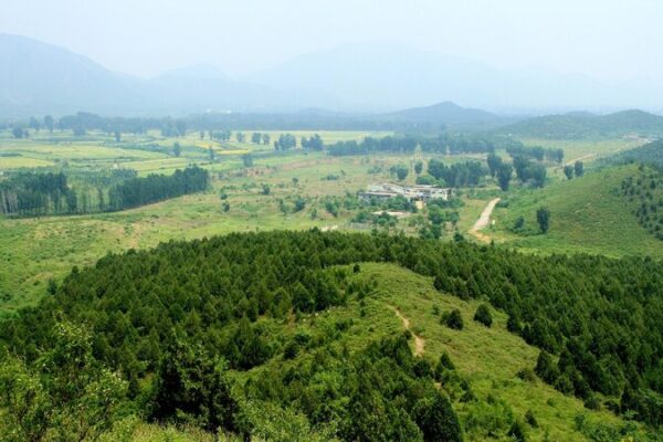 Discover Shunyi: Beijing’s Natural Oasis at CISCE Explore Shunyi: CISCE highlights Beijing's natural beauty