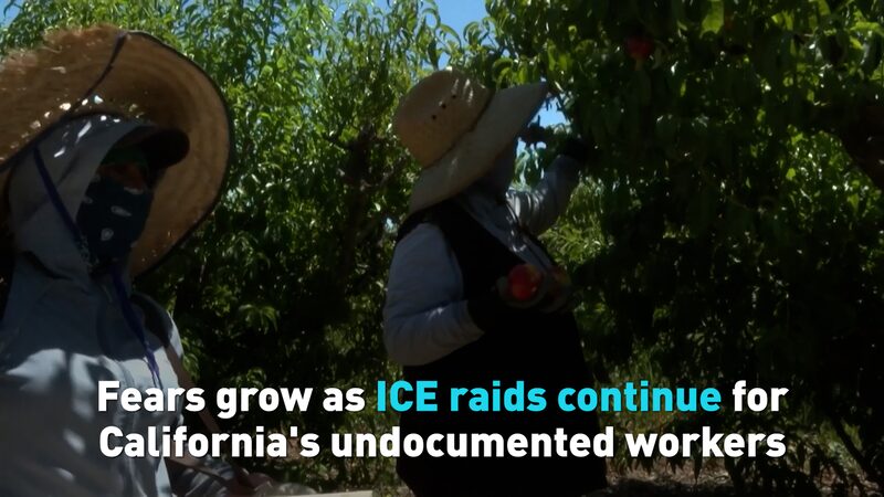 # - My News! Fears Grow As Ice Raids Continue for Californias Undocumented Workers Video Poster