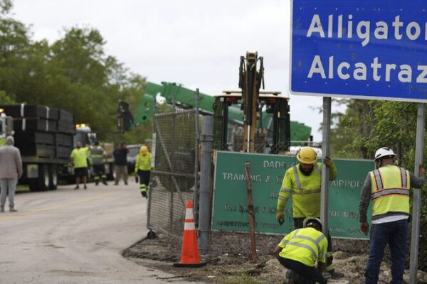 # - My News! First Immigrant Detainees Arrive at alligator Alcatraz Reports