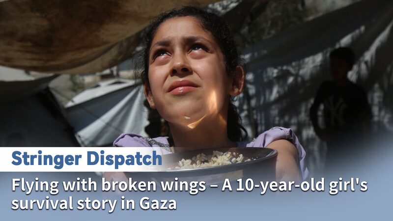# - My News! Flying with Broken Wings a Girls Survival Story in Gaza Video Poster