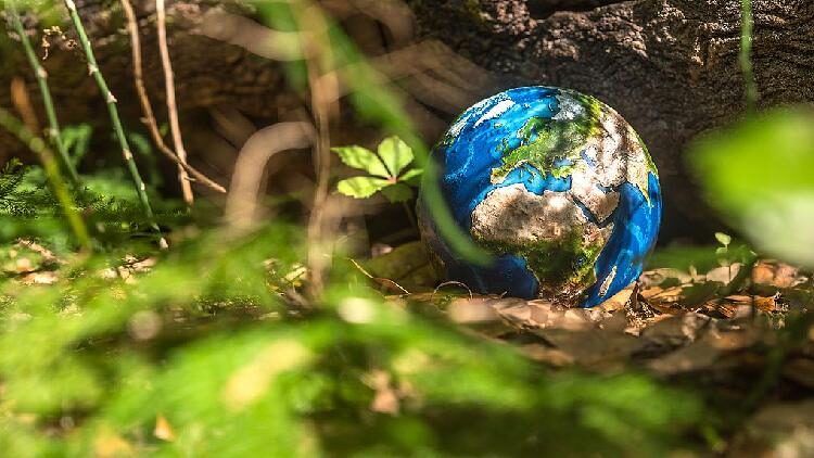 China and EU Unite to Tackle Climate Change with New Joint Action Plan Full text: Joint statement on climate change by Chinese and EU leaders