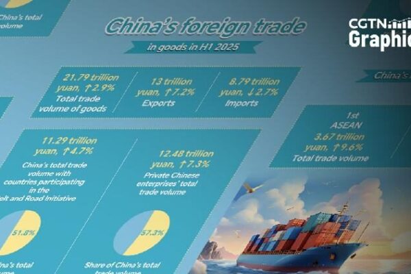 Graphics: China's foreign trade up 2.9% in H1