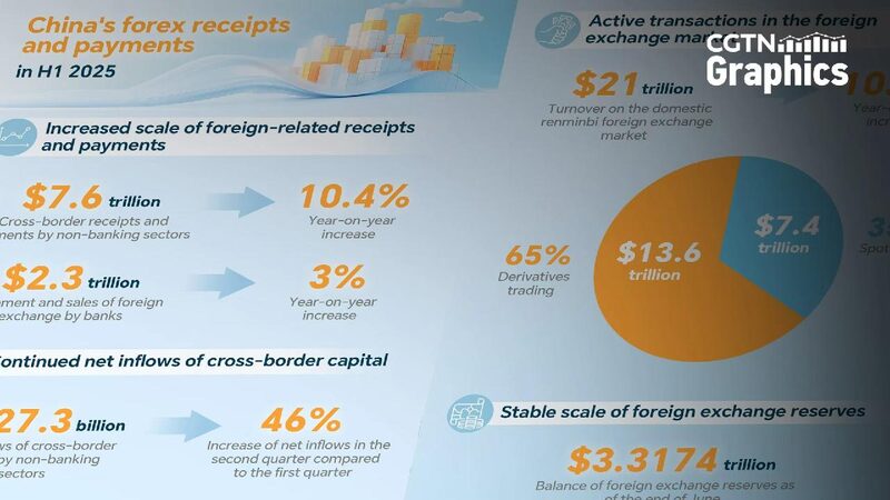 Graphics: China's forex receipts, payments in H1 2025
