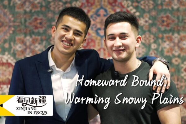 Homeward Bound Warming Snowy Plains Video Poster 