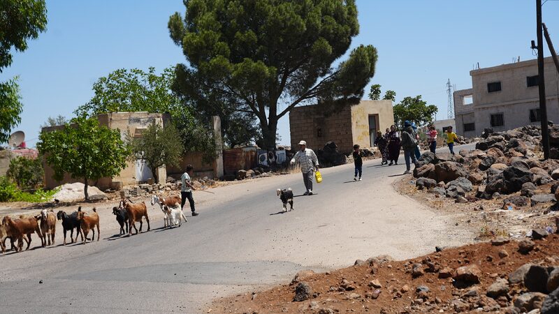 Israel and Syria Reach Ceasefire in U.S.-Mediated Agreement Israel, Syria reach ceasefire deal with U.S. mediation