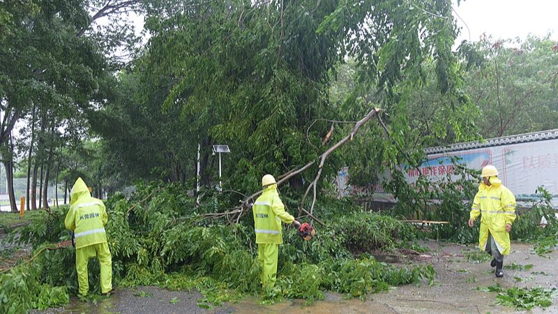 Typhoon Wipha Set to Slam South China’s Coast, Residents Brace for Impact Live: China's southern provinces prepare as Typhoon Wipha edges closer video poster