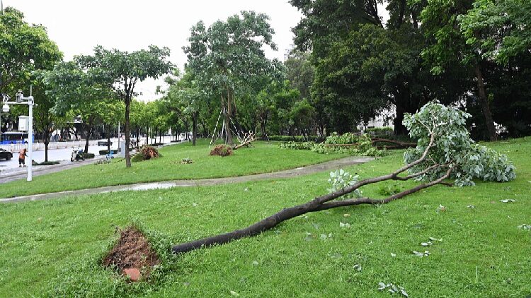 Typhoon Wipha Weakens Over Guangdong; Vietnam Braces for Impact Live: Latest on Typhoon Wipha as Vietnam takes precautionary measures
