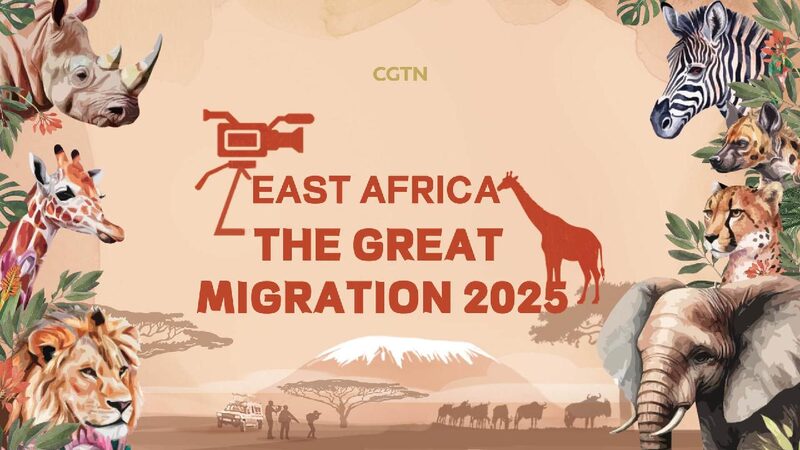 Kenya’s Battle to Protect the Great Migration Amid Growing Threats Live: Tracking the Great Migration