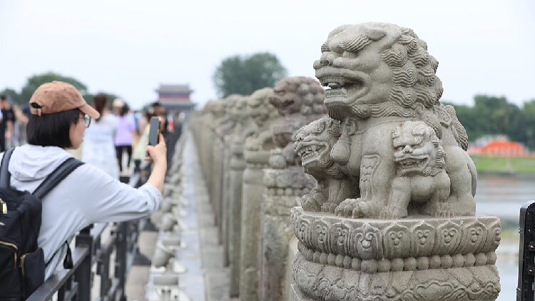 Marco Polo Bridge Where History Echoes Rejuvenation Blooms 