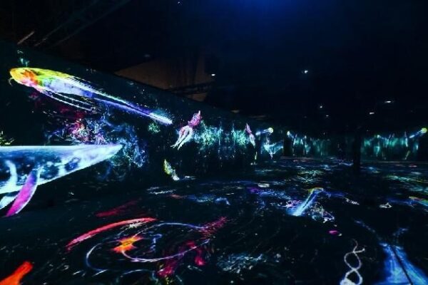 # - My News! meet the Ocean Exhibition a Panoramic Ode to Marine Conservation