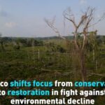 Mexico Shifts to Restoration in Fight Against Environmental Decline Video Poster 