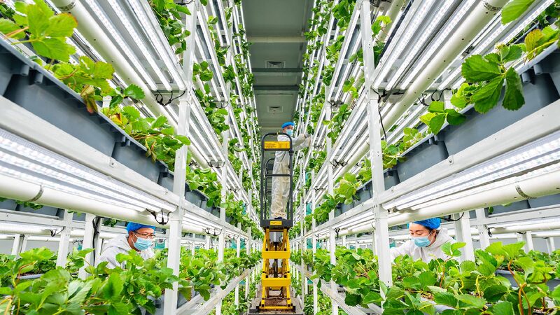 Modernization of agricultural technology drives global development