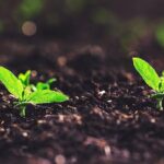 # - My News! New Method Enables High precision Soil Moisture Estimation