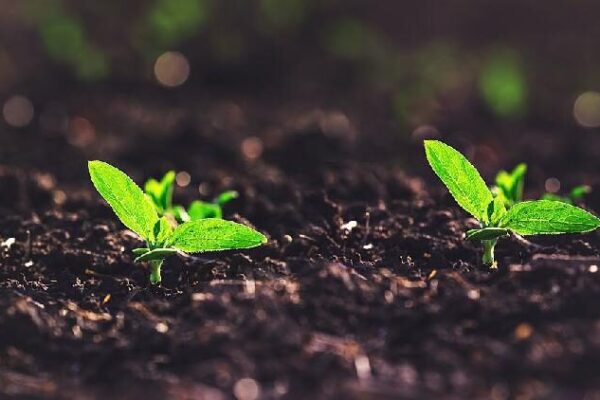 # - My News! New Method Enables High precision Soil Moisture Estimation