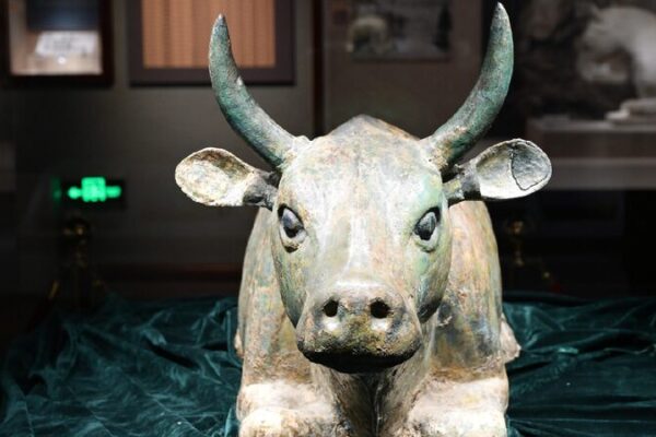 # - My News! Ningxia Museum Sees Surge of Visitors During Summer Holiday