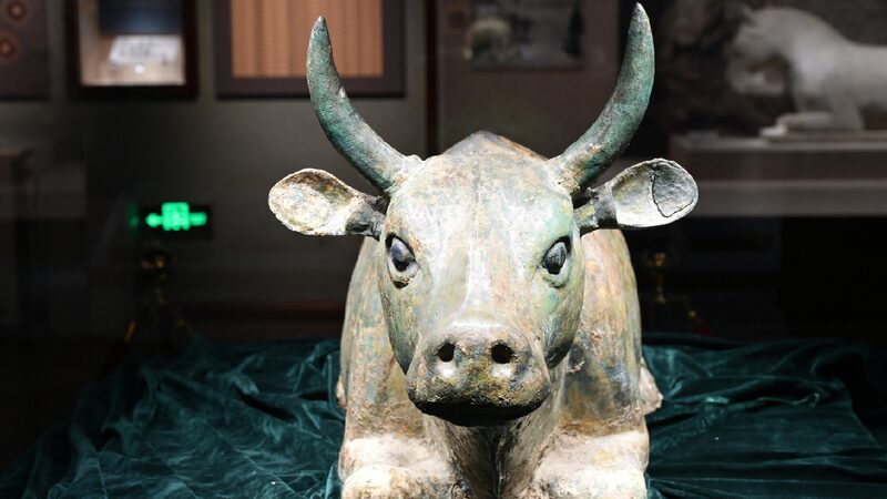 Ningxia Museum Sees Surge of Visitors During Summer Holiday 