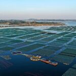 Norway Green Cooperation with China Key for Climate Economy 